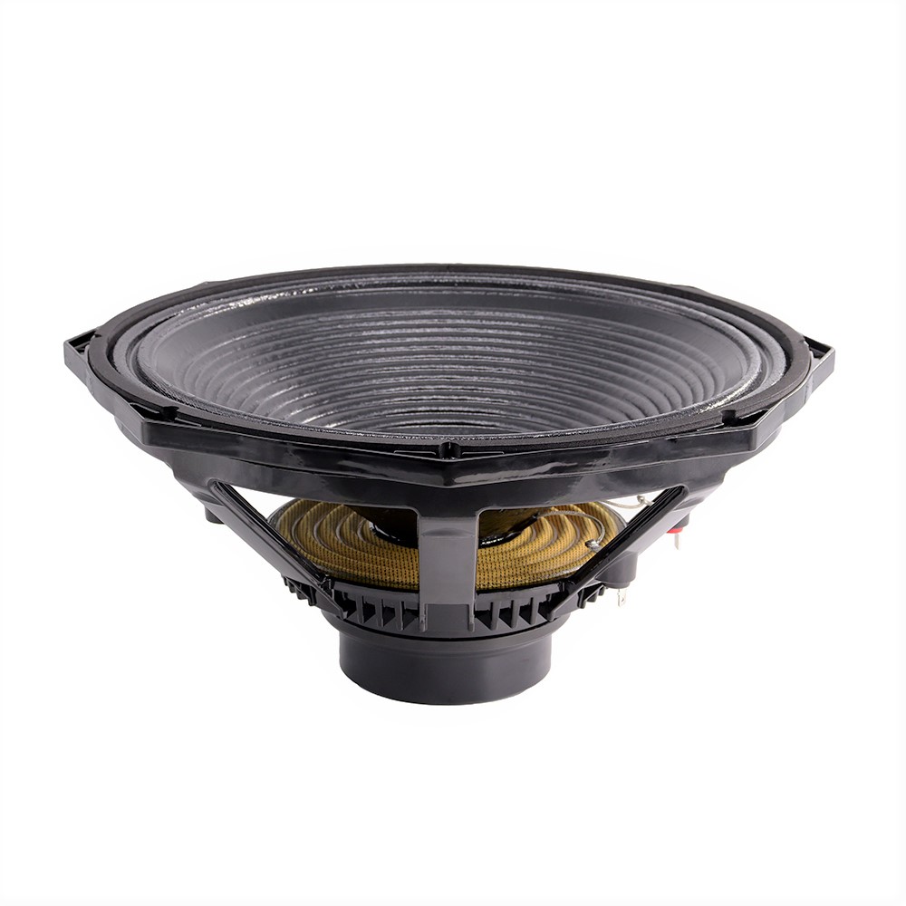 Professional Audio 600W 15 Inc - Speakers recension och pris